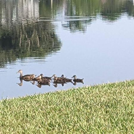 Port Saint Lucie A Little Piece Of Heaven- Peaceful Lake View Apartment- 1 Min From I95 And Turnpike Port St. Lucie Экстерьер фото